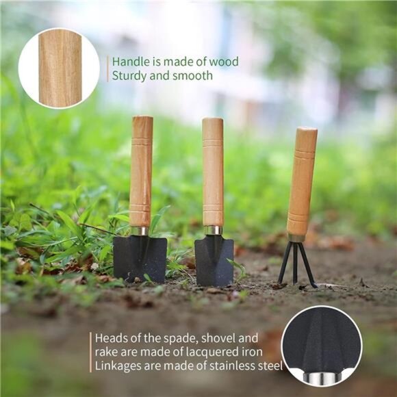 11Pcs Succulent Tools,Garden Tools,Succulent Watering Tool as Plant Accessories - Picture 4 of 7
